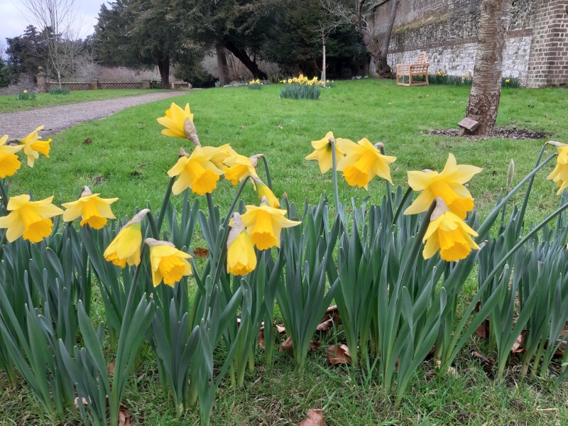 Chawton House